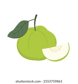 Guava. Juicy flesh and a strong sweet aroma fruit. Vector guava cartoon illustration isolated on white background.