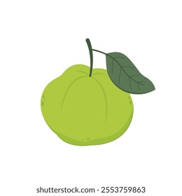 Guava. Juicy flesh and a strong sweet aroma fruit. Vector guava cartoon illustration isolated on white background.