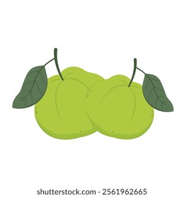 Guava. Juicy flesh and a strong sweet aroma fruit. Vector guava cartoon illustration isolated on white background.