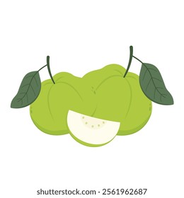 Guava. Juicy flesh and a strong sweet aroma fruit. Vector guava cartoon illustration isolated on white background.