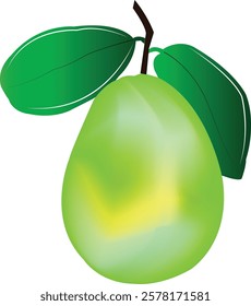 Guava. Juicy flesh and a strong sweet aroma fruit. Vector guava cartoon illustration isolated on white background