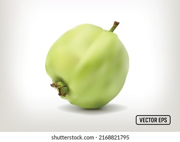 Guava ON A WHITE BACKGROUND. VECTOR EPS