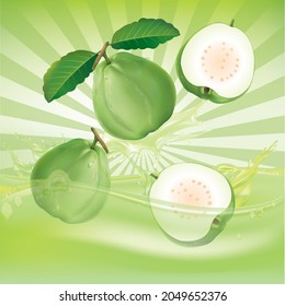 Guayaba con agua salpicada en el fondo gráfico.ilustración vector