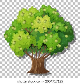 Guava tree on transparent background illustration