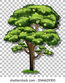 Guava tree on transparent background illustration