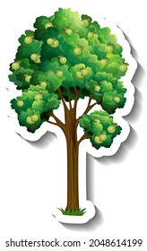 Guava tree sticker on white background illustration