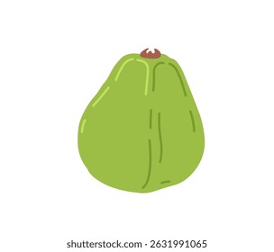 Guava tropical exotic fruit. Whole, half and piece. Vector hand-drawn illustration, isolated on white background.
