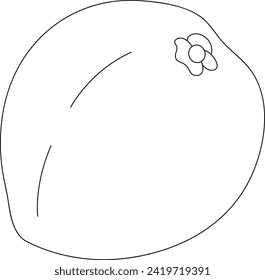 Guava tropical fruit black and white vector line art illustration coloring page