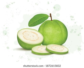 Ilustración del vector de guayaba con trozos redondos aislados en fondo blanco