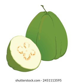 Guava, vector illustration of tropical green fruits, whole and in parts. The flesh is white, the skin is green. A clipart highlighted on a white background.