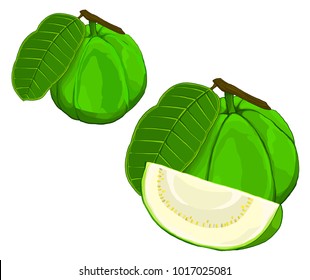 Guava - whole fruit and a piece of fruit