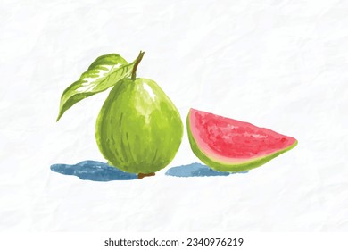 Guavas. Vector illustration with watercolor fruit. Painting technique. Fresh organic food.