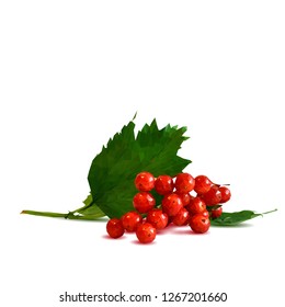Guelder rose low poly. Fresh, nutritious and tasty red guelder rose. Symbols of berries. Elements for label design. Guelder roses ingredients in triangulation technique.