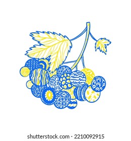 Guelder Rose Ukraine. Vector Illustration of Hand drawn Plant. Nature Berry.