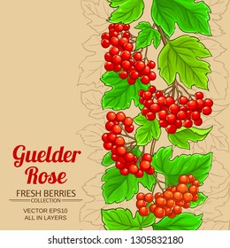 guelder rose vector background