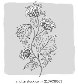 Arte de la línea étnica del vector de rosa de guelante