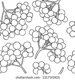 guelder rose vector pattern