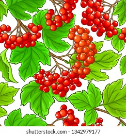 guelder rose vector pattern