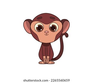 Guenon monkey vector isolated color icon. Guenon monkey animal vector icon. Guenon monkey icon