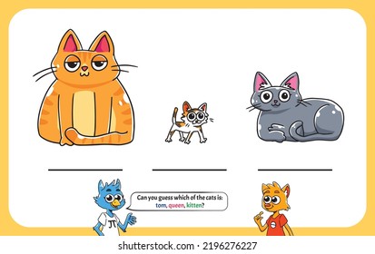 Guess game, cats edition, young adult, male female cat