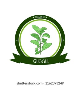 Guggul. Plant. Branch, leaves, fruit. Sketch. Color. On a white background. Logo, sticker, emblem