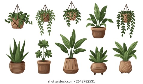 A Guide to Bringing the Outdoors In Decorating With Houseplants For Every Home