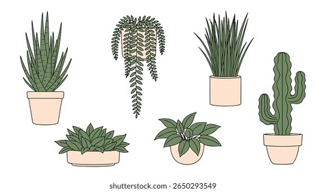 A Guide to Choosing the Right Houseplants for Your Home and Lifestyle Needs