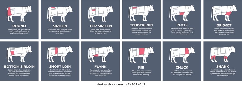 Anleitung zum Schneiden von Schlachtrindern, Kühen, Puten, Lamm, Schwein, Huhn. Metzgerführer. Diagramme с Teile Fleisch Schlachtkörper Hausgeflügel und Nutztiere. Vektorfarbige Illustration einzeln.