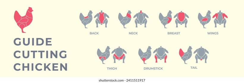 Führer beim Schneiden von Schlachtkörperhähnchen, Truthühnern, Schweinefleisch, Lamm, Kuh. Metzgerführer. Diagramme с Teile Fleisch Schlachtkörper Hausgeflügel und Nutztiere. Vektorfarbige Illustration einzeln.