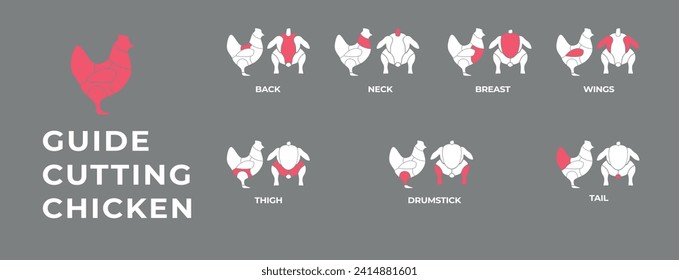 Führer beim Schneiden von Schlachtkörperhähnchen, Truthühnern, Schweinefleisch, Lamm, Kuh. Metzgerführer. Diagramme с Teile Fleisch Schlachtkörper Hausgeflügel und Nutztiere. Vektorfarbige Illustration einzeln.