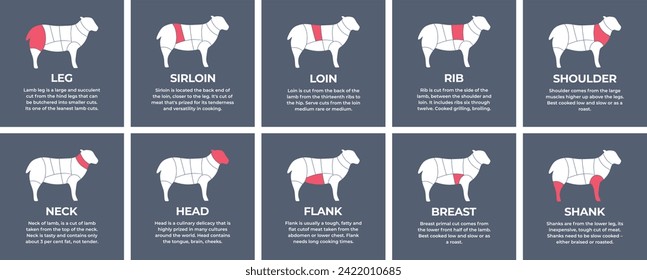 Guide cutting meat carcass lamb, cow, pork, turkey, chicken. Butcher guide lamb. Diagrams сutting parts meat carcass domestic farm poultry and farm livestock. Vector flat color illustration isolated.