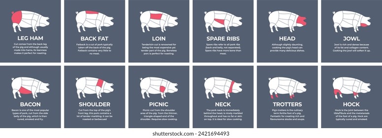 Führer beim Schneiden von Schlachtkörpern Schweinefleisch, Puten, Lamm, Kuh, Huhn. Metzgerführer. Diagramme с Teile Fleisch Schlachtkörper Hausgeflügel und Nutztiere. Vektorfarbige Illustration einzeln.