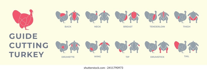 Guide cutting meat carcass turkey, pork, lamb, cow, chicken. Butcher guide. Diagrams сutting parts meat carcass domestic farm poultry and farm livestock. Vector flat color illustration isolated.