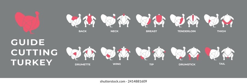 Führer beim Schneiden von Schlachtkörpern Truthahn, Schweinefleisch, Lamm, Kuh, Huhn. Metzgerführer. Diagramme с Teile Fleisch Schlachtkörper Hausgeflügel und Nutztiere. Vektorfarbige Illustration einzeln.