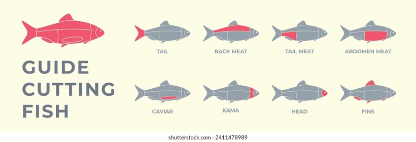 Guide cutting meat fish carcass, seafood, turkey, pork, lamb, cow, chicken. Diagrams сutting parts meat fish carcass. Butcher guide. Vector flat color drawing illustration. Isolated.