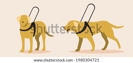 Guide dog isolated. Flat vector stock illustration. Set or collection of dogs. Yellow Labrador Retriever as a blind assistant or companion. Help for the disabled. Isolated illustration