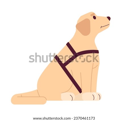 Guide dog labrador 2D cartoon character. Support dog isolated vector animal white background. Pet golden retriever. Sitting puppy cute. Domestic animal assisted therapy color flat spot illustration