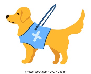 Guide dog with long handle in cartoon style. Golden Retriever isolated object on white background. Vector illustration. Flat design for icon, poster, banner, flyer, web, business, company, sign.