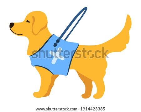 Guide dog with long handle in cartoon style. Golden Retriever isolated object on white background. Vector illustration. Flat design for icon, poster, banner, flyer, web, business, company, sign.