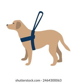 Perro guía con correa especial. Rehabilitación y adaptación de las personas después de la pérdida de visión. Entrenamiento de perros para ayudar a los ciegos. Ilustraciones vectoriales sobre fondo blanco.