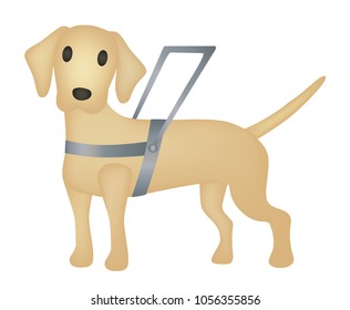 Guide dog - White labrador