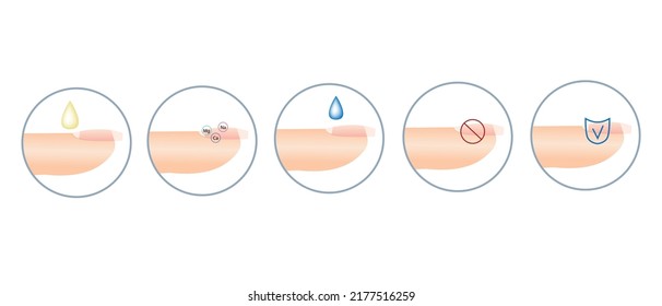 Guide to professional manicure, Vector, infographics. Training of masters of manicure. Manual for gel nail polish