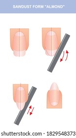 Guide to sawdust almond shaped nail, vector illustration