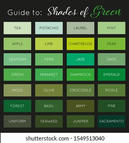 Guide to Shades of Green vector