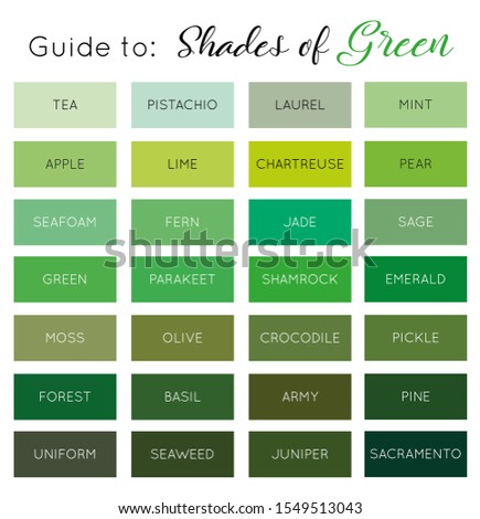 Guide to Shades of Green vector