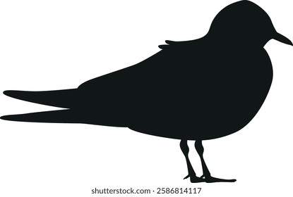 Guillemot arctic bird black-and-white vector illustration