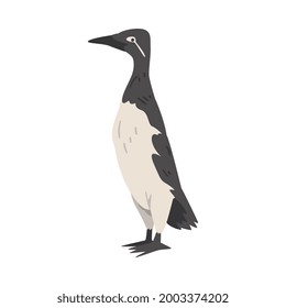 Guillemot Arctic Bird, Wild Polar Animal Cartoon Vector Illustration