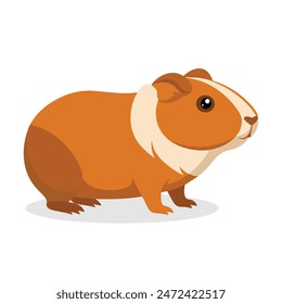 
Guinea animal flat vector illustration on white background.