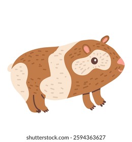 Guinea animal flat vector illustration on white background.