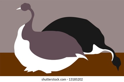 guinea bird 	